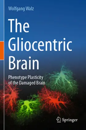 Walz |  The Gliocentric Brain | Buch |  Sack Fachmedien