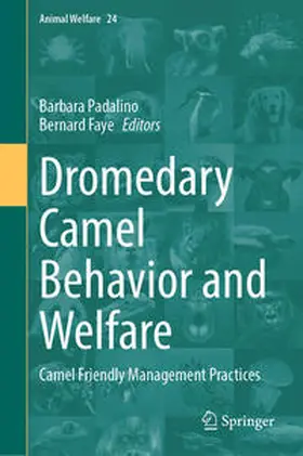 Padalino / Faye |  Dromedary Camel Behavior and Welfare | Buch |  Sack Fachmedien