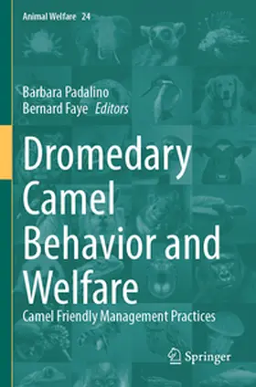 Padalino / Faye |  Dromedary Camel Behavior and Welfare | Buch |  Sack Fachmedien