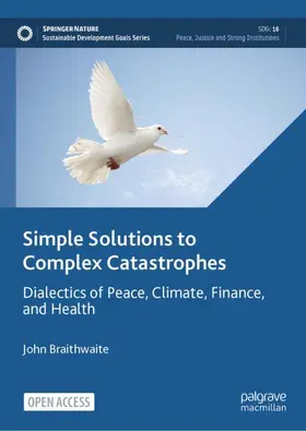 Braithwaite |  Simple Solutions to Complex Catastrophes | Buch |  Sack Fachmedien