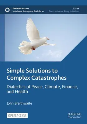 Braithwaite |  Simple Solutions to Complex Catastrophes | Buch |  Sack Fachmedien