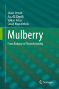 Ozturk / Kamili / Altay |  Mulberry | eBook | Sack Fachmedien