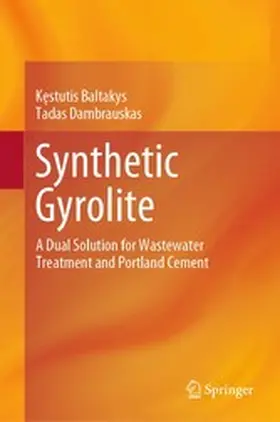Baltakys / Dambrauskas | Synthetic Gyrolite | E-Book | www.sack.de