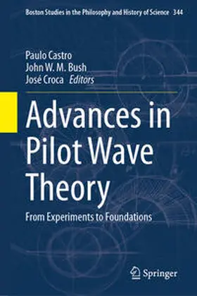 Castro / Croca / Bush |  Advances in Pilot Wave Theory | Buch |  Sack Fachmedien