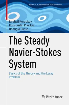 Korobkov / Pileckas / Russo |  The Steady Navier-Stokes System | Buch |  Sack Fachmedien