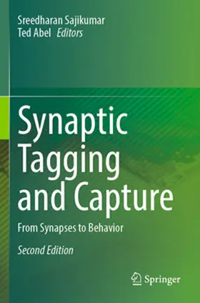 Sajikumar / Abel |  Synaptic Tagging and Capture | Buch |  Sack Fachmedien