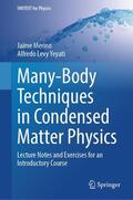 Yeyati / Merino |  Many-Body Techniques in Condensed Matter Physics | Buch |  Sack Fachmedien