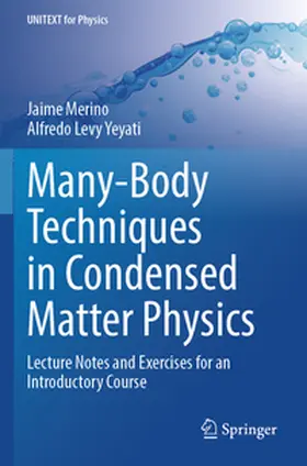 Merino / Yeyati |  Many-Body Techniques in Condensed Matter Physics | Buch |  Sack Fachmedien