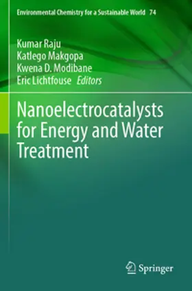 Raju / Makgopa / Modibane |  Nanoelectrocatalysts for Energy and Water Treatment | Buch |  Sack Fachmedien