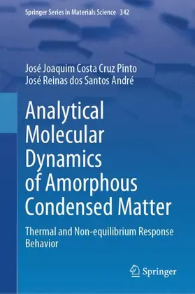 Costa Cruz Pinto / dos Santos André |  Analytical Molecular Dynamics of Amorphous Condensed Matter | Buch |  Sack Fachmedien