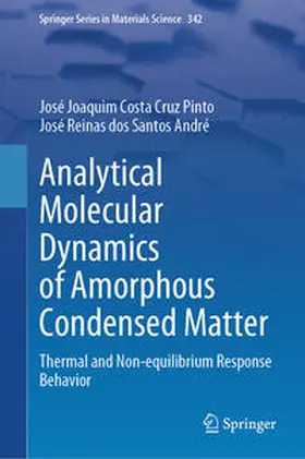 Costa Cruz Pinto / dos Santos André | Analytical Molecular Dynamics of Amorphous Condensed Matter | E-Book | www.sack.de