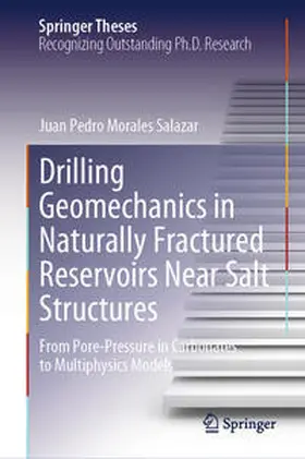 Morales Salazar |  Drilling Geomechanics in Naturally Fractured Reservoirs Near Salt Structures | eBook | Sack Fachmedien
