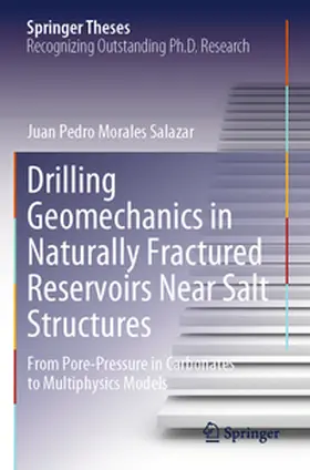Morales Salazar |  Drilling Geomechanics in Naturally Fractured Reservoirs Near Salt Structures | Buch |  Sack Fachmedien
