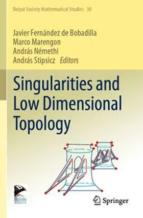 de Bobadilla / Marengon / Némethi | Singularities and Low Dimensional Topology | Buch | 978-3-031-56613-4 | www.sack.de