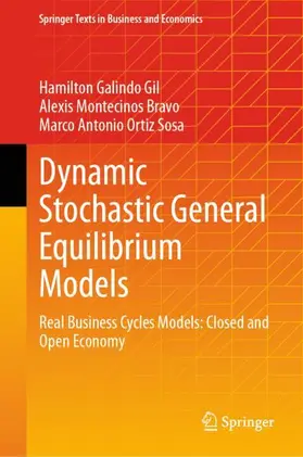 Galindo Gil / Ortiz Sosa / Montecinos Bravo |  Dynamic Stochastic General Equilibrium Models | Buch |  Sack Fachmedien