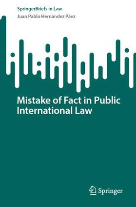 Hernández Páez | Mistake of Fact in Public International Law | Buch | 978-3-031-59507-3 | sack.de