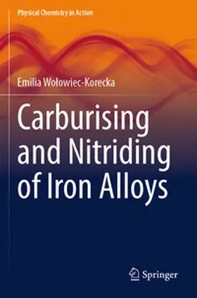 Wolowiec-Korecka / Wolowiec-Korecka |  Carburising and Nitriding of Iron Alloys | Buch |  Sack Fachmedien