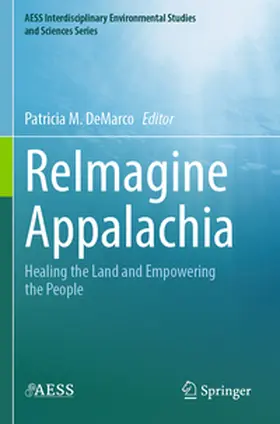 DeMarco |  ReImagine Appalachia | Buch |  Sack Fachmedien