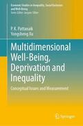 Pattanaik / Xu |  Multidimensional Well-Being, Deprivation and Inequality | Buch |  Sack Fachmedien