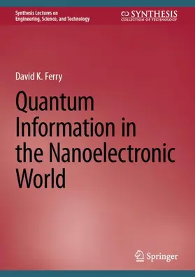 Ferry |  Quantum Information in the Nanoelectronic World | Buch |  Sack Fachmedien