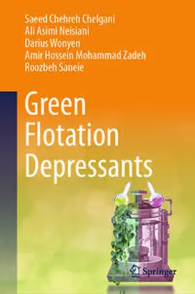 Chehreh Chelgani / Neisiani / Wonyen | Green Flotation Depressants | E-Book | www.sack.de