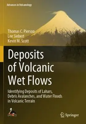 Pierson / Siebert / Scott | Deposits of Volcanic Wet Flows | Buch | 978-3-031-66576-9 | www.sack.de