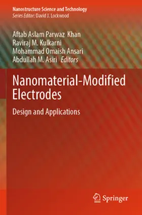 Khan / Kulkarni / Omaish Ansari | Nanomaterial-Modified Electrodes | Buch | 978-3-031-67178-4 | www.sack.de