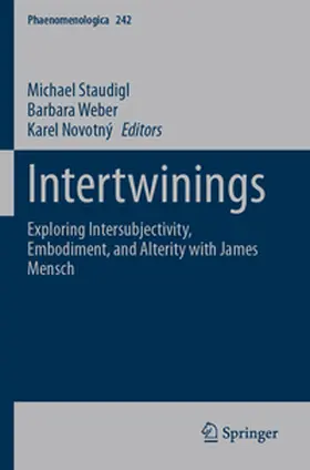 Staudigl / Weber / Novotný |  Intertwinings | Buch |  Sack Fachmedien