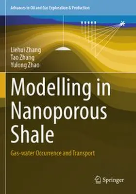 Zhang / Zhao |  Modelling in Nanoporous Shale | Buch |  Sack Fachmedien