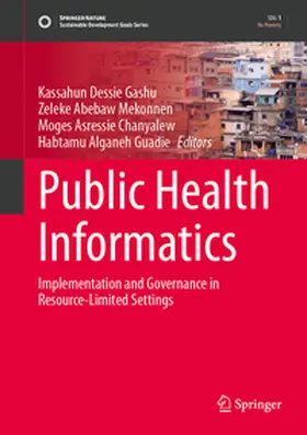 Gashu / Mekonnen / Chanyalew | Public Health Informatics | E-Book | sack.de