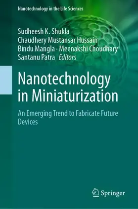 Shukla / Hussain / Patra | Nanotechnology in Miniaturization | Buch | 978-3-031-72003-1 | sack.de