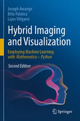 Awange / Paláncz / Völgyesi | Hybrid Imaging and Visualization | E-Book | www.sack.de