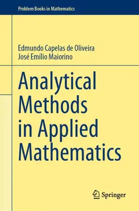 Maiorino / Capelas de Oliveira |  Analytical Methods in Applied Mathematics | Buch |  Sack Fachmedien