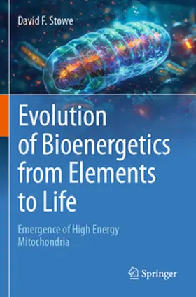Stowe | Evolution of Bioenergetics from Elements to Life | Buch | 978-3-031-76670-1 | www.sack.de