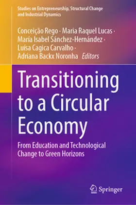 Rego / Lucas / Sánchez-Hernández |  Transitioning to a Circular Economy | eBook | Sack Fachmedien