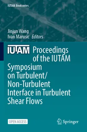 Wang / Marusic |  Proceedings of the IUTAM Symposium on Turbulent/Non-Turbulent Interface in Turbulent Shear Flows | Buch |  Sack Fachmedien