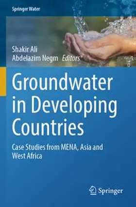 Ali / Negm |  Groundwater in Developing Countries | Buch |  Sack Fachmedien