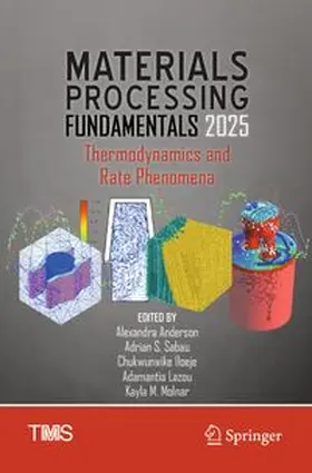 Anderson / Sabau / Iloeje |  Materials Processing Fundamentals 2025 | Buch |  Sack Fachmedien