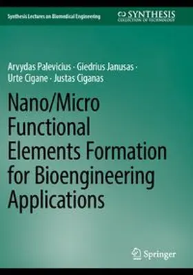 Palevicius / Janusas / Cigane | Nano/Micro Functional Elements Formation for Bioengineering Applications | Buch | 978-3-031-81511-9 | www.sack.de