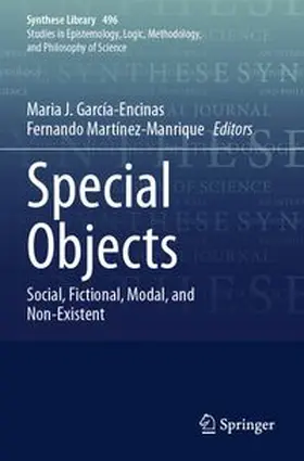 García-Encinas / Martínez-Manrique |  Special Objects | Buch |  Sack Fachmedien