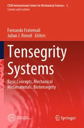 Fraternali / Rimoli | Tensegrity Systems | Buch | 978-3-031-82285-8 | www.sack.de