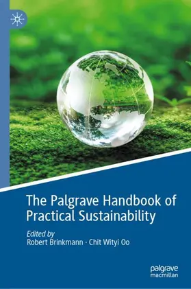 Oo / Brinkmann |  The Palgrave Handbook of Practical Sustainability | Buch |  Sack Fachmedien