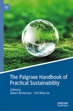 Brinkmann / Oo |  The Palgrave Handbook of Practical Sustainability | eBook | Sack Fachmedien