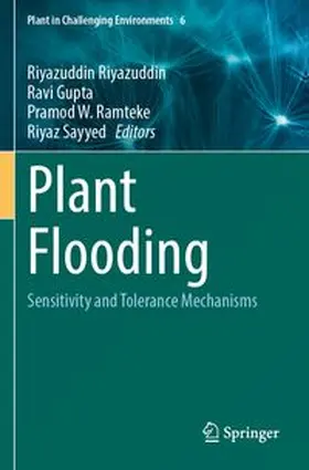 Riyazuddin / Gupta / Ramteke |  Plant Flooding | Buch |  Sack Fachmedien