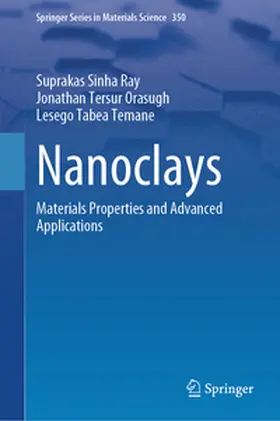 Ray / Temane / Tersur Orasugh |  Nanoclays | Buch |  Sack Fachmedien