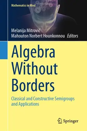 Mitrovic / Mitrovic / Hounkonnou |  Algebra Without Borders | Buch |  Sack Fachmedien