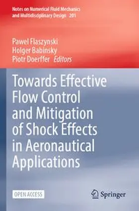 Flaszynski / Babinsky / Doerffer |  Towards Effective Flow Control and Mitigation of Shock Effects in Aeronautical Applications | Buch |  Sack Fachmedien