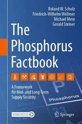 Scholz / Wellmer / Mew |  The Phosphorus Factbook | Buch |  Sack Fachmedien