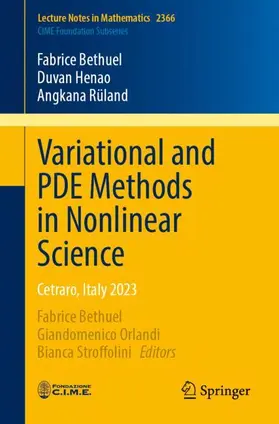 Bethuel / Henao / Rüland |  Variational and PDE Methods in Nonlinear Science | Buch |  Sack Fachmedien