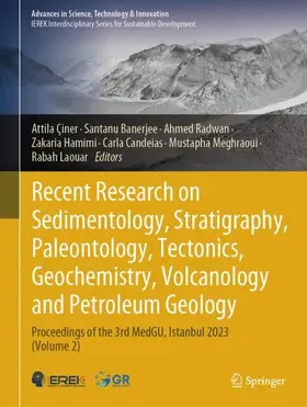 Çiner / Banerjee / Radwan |  Recent Research on Sedimentology, Stratigraphy, Paleontology, Tectonics, Geochemistry, Volcanology and Petroleum Geology | Buch |  Sack Fachmedien